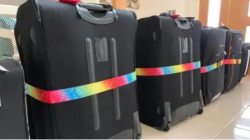 Ultimate Guide To Choose Best Luggage For Cruise 1 best luggage for cruise