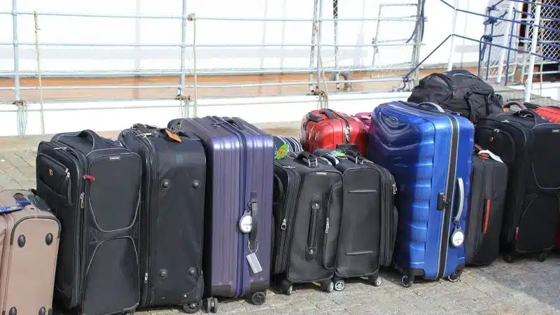 Ultimate Guide To Choose Best Luggage For Cruise 2 best luggage for cruise